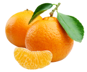 orange_arabian_yacht_export2.webp