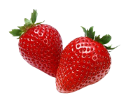 strawberry_arabian_yacht_export